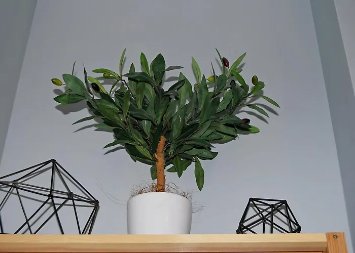 Rynok Square Historical Center Apartman